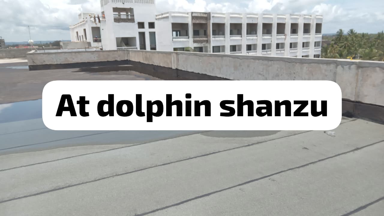 Dolphin Hotel project - Professional waterproofing and painting services